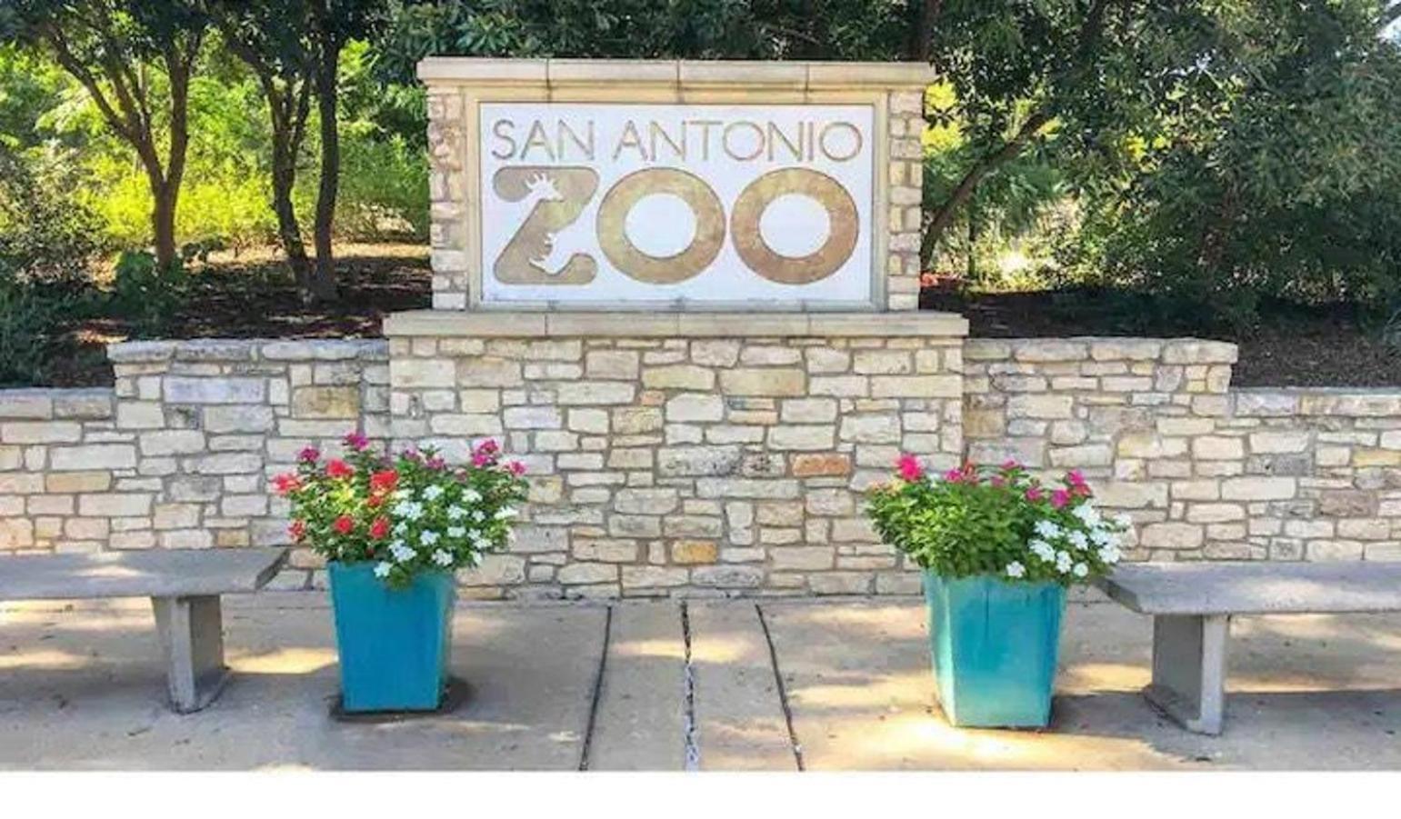 Private Hot Tub3Bd2Ba 2 Miles To Sa River Walk سان أنطونيو المظهر الخارجي الصورة